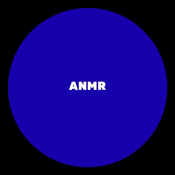anmrenterprise